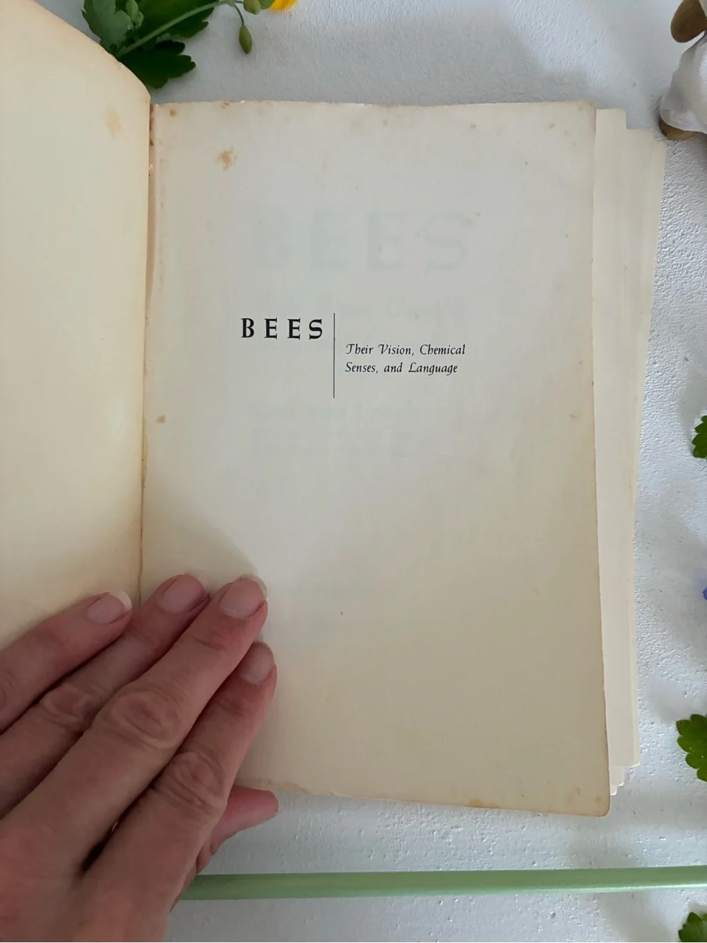 Bees by Karl von Frisch Vintage Paperback - 1971